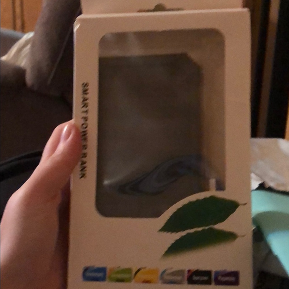 Power bank